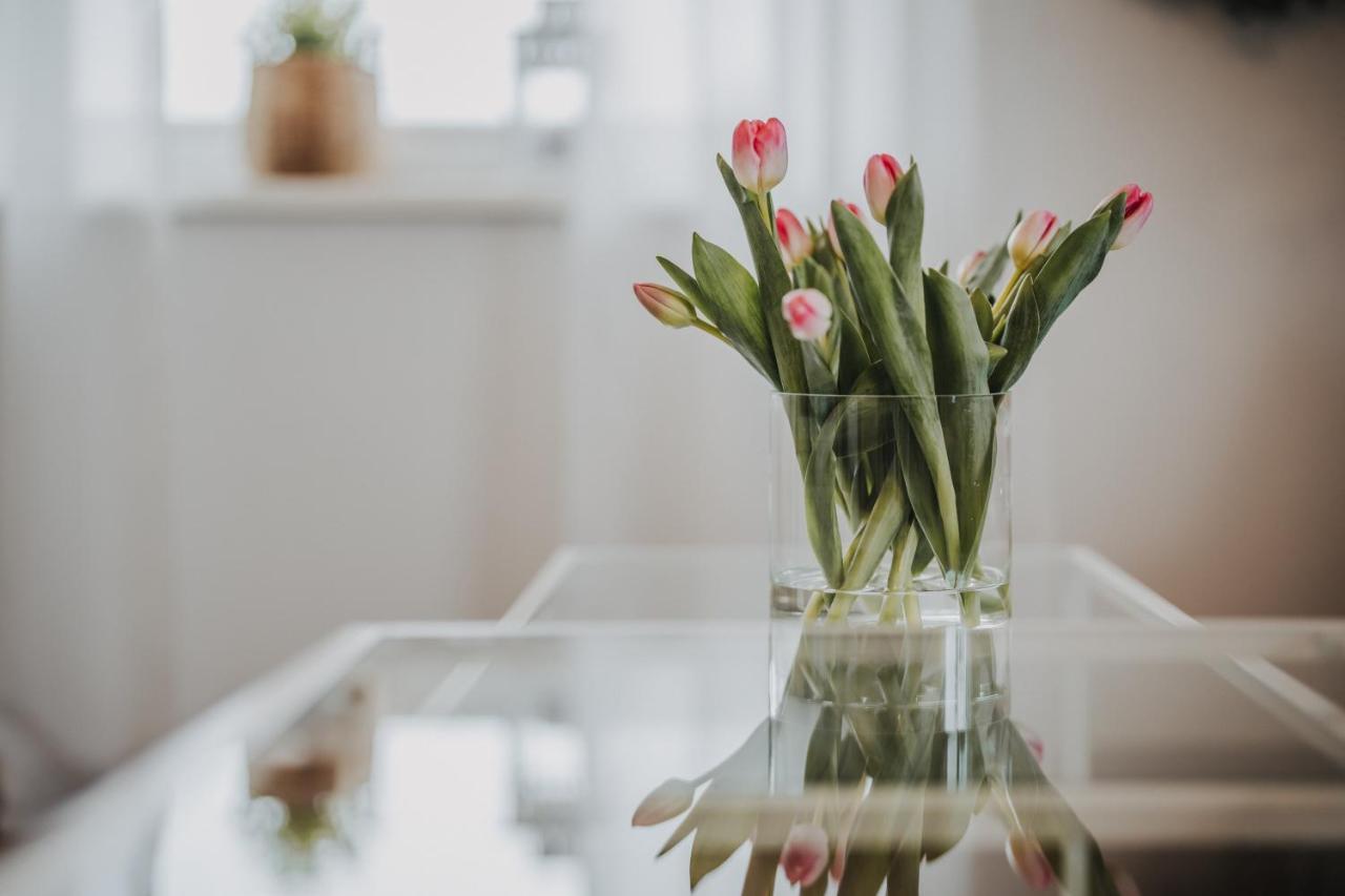 Weidenblick Apartment *